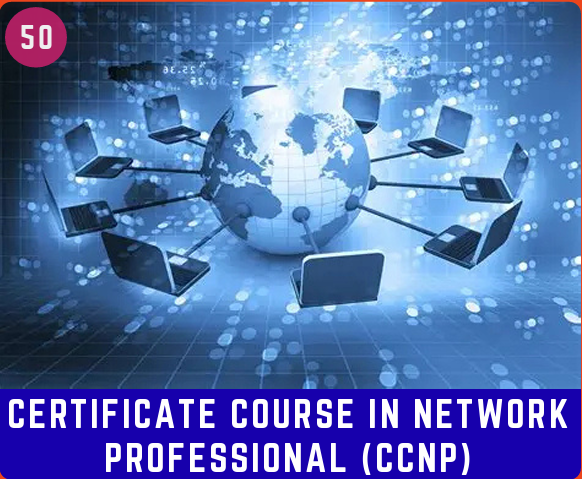 CERTIF. COUR. IN NET. PROFESSIONAL (CCNP) 6