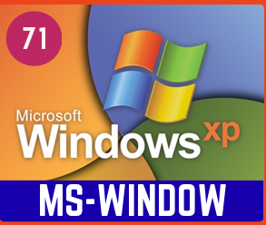 MS-WINDOW
