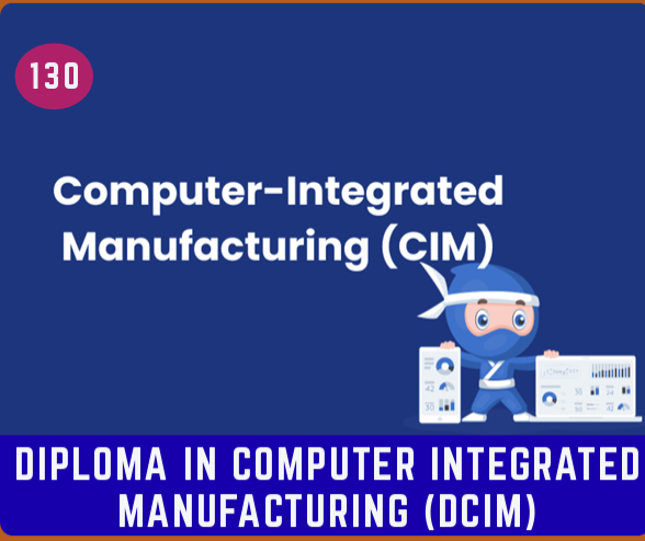 DIP. IN COM. INTEGRATED MANUFACTU. (DCIM)