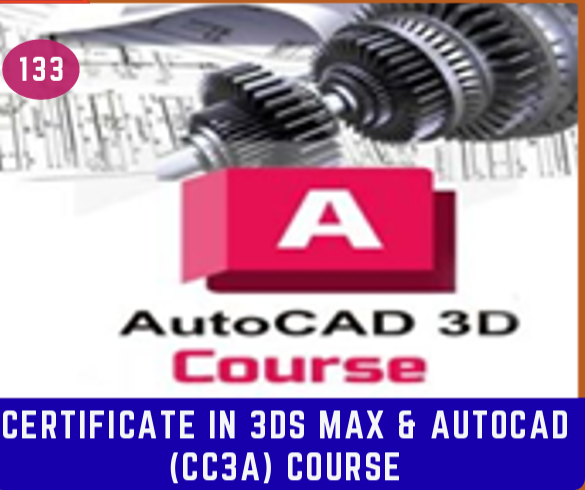 CERTIF. IN 3DS MAX & AUTOCAD (CC3A) COURSE