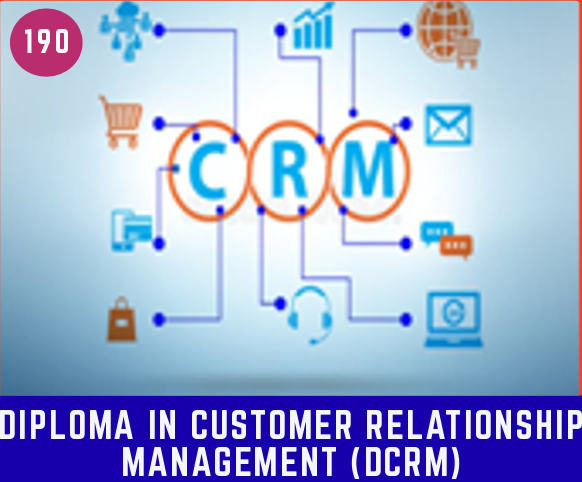 Dipl. in Customer Relationship Manag. (DCMR)