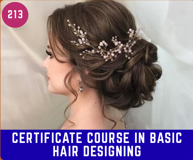 Certificate Course in Basic Hair Dresser