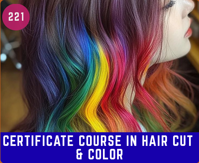 Certificate Course in Hair Cut & Color